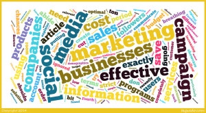 Taxedo Social Media 2